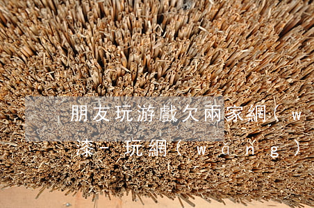 朋友玩游戲欠兩家網(wǎng)貸被潑油漆-玩網(wǎng)絡(luò)游戲欠了不少網(wǎng)貸