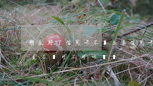 朋友用了信用卡不還立案(信用卡朋友在用一直不還可不可以凍結(jié))