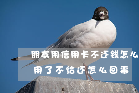 朋友用信用卡不还钱怎么办(朋友把信用卡钱用了不给还怎么回事)