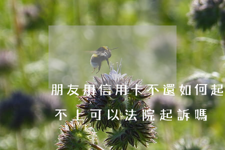 朋友用信用卡不還如何起訴(借朋友信用卡還不上可以法院起訴嗎)