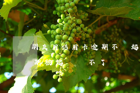朋友用信用卡逾期不還起訴有用嗎（信用卡逾期被起訴還不了）