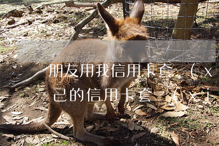 朋友用我信用卡套現(xiàn)不還(用自己的信用卡套現(xiàn)還違法嗎)
