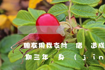 朋友用我支付寶借唄造成逾期(支付寶借唄逾期三年親身經(jīng)歷)