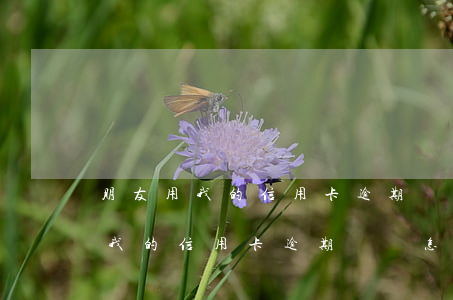 朋友用我的信用卡逾期沒還怎么辦-朋友用我的信用卡逾期沒還怎么辦呢