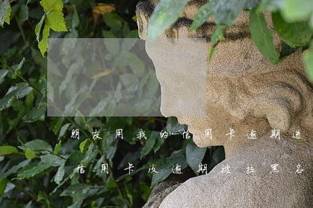 朋友用我的信用卡逾期进黑名单了能告他吗（信用卡没逾期被拉黑名单）
