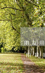 朋友用我的名義網(wǎng)貸不還(朋友用我的信息網(wǎng)貸不還)
