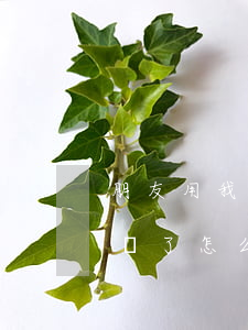 朋友用我的網(wǎng)貸不還詐騙(被詐騙了怎么樣可以不還網(wǎng)貸)
