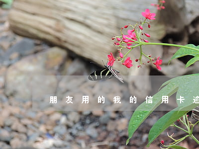 朋友用的我的信用卡逾期(信用卡逾期了)