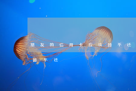 朋友的信用卡应该替不还(朋友的信用卡应该替不还)
