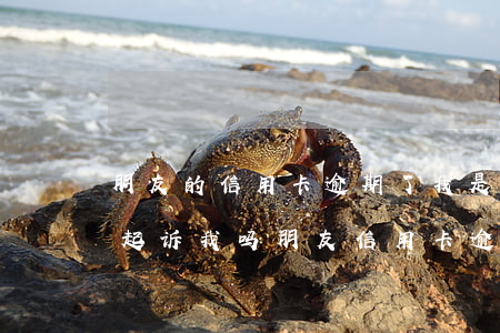 朋友的信用卡逾期了,我是紧急联系人,法院会起诉我吗（朋友信用卡逾期联系人）