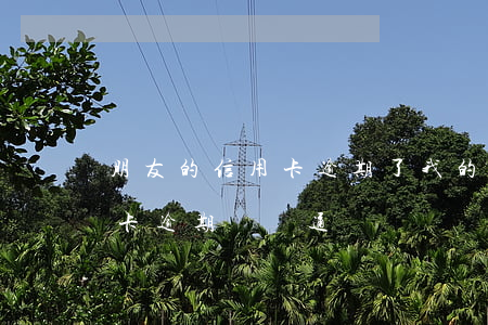 朋友的信用卡逾期了,我的電話被騷擾了（信用卡逾期騷擾通訊錄）