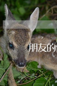 朋友的信用卡逾期了联系不上
