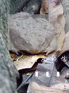 朋友的信用卡逾期了聯(lián)系人受牽連嗎（信用卡逾期怎么會有朋友通訊錄）