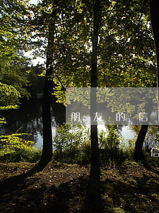 朋友的信用卡逾期了聯(lián)系人受牽連嗎（信用卡逾期會告訴親朋好友嗎）