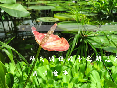 朋友的信用卡逾期怎么幫他還(幫別人處理信用卡逾期)