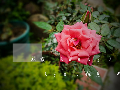 朋友網(wǎng)貸為什么會(huì)發(fā)信息說我欠了(網(wǎng)貸還完后還有人發(fā)信息說欠錢)