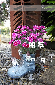 朋友網(wǎng)貸被起訴(朋友網(wǎng)貸被起訴,留我電話,我會受牽連嘛)