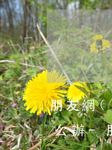朋友網(wǎng)貸逾期一直打我電話怎么辦-朋友網(wǎng)貸逾期了總給我打電話