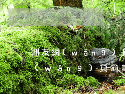 朋友網(wǎng)貸逾期怎么幫忙(朋友網(wǎng)貸逾期留我電話老騷擾我)