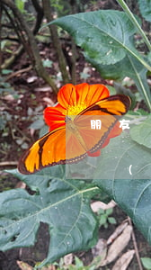 朋友網(wǎng)貸逾期我被催收罵(罵了網(wǎng)貸催收怎么辦)