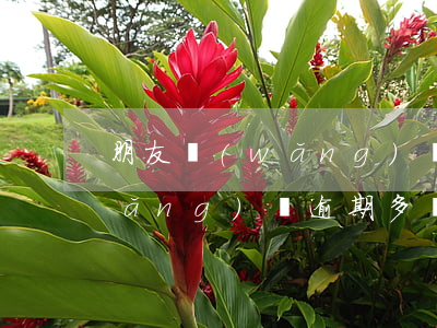 朋友網(wǎng)貸逾期爆通訊錄(網(wǎng)貸逾期多長時間爆通訊錄)
