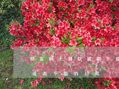 朋友網上貸款逾期不還(網絡上貸款如果逾期或者不還的后果)