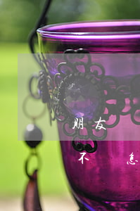 朋友網貸欠我錢不還怎么辦(網上的朋友欠錢不還怎么辦)