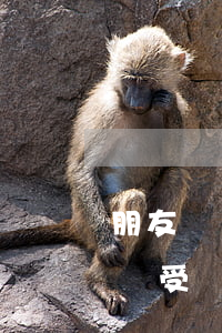 朋友網貸被起訴(朋友網貸被起訴,留我電話,我會受牽連嘛)