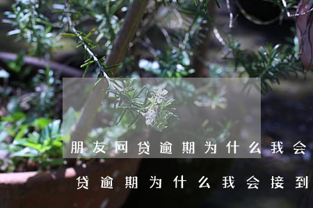 朋友网贷逾期为什么我会接到电话-朋友网贷逾期为什么我会接到电话呢