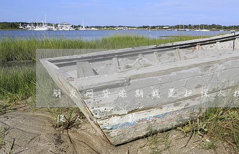 朋友网贷逾期我是担保人(担保的贷款逾期,担保人能贷款吗)