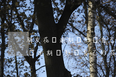 朋友花唄逾期會影響自己的花唄嗎-朋友花唄逾期會影響自己的花唄嗎怎么辦