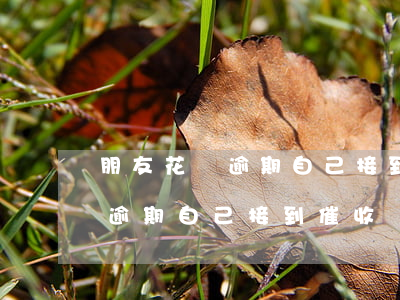 朋友花唄逾期自己接到催收電話-朋友花唄逾期自己接到催收電話怎么辦