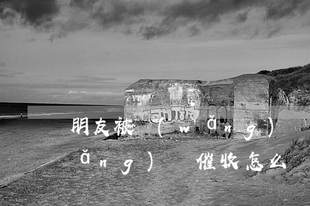 朋友被網(wǎng)貸催收(朋友被網(wǎng)貸催收怎么辦)