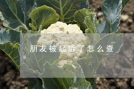 朋友被起訴了怎么查