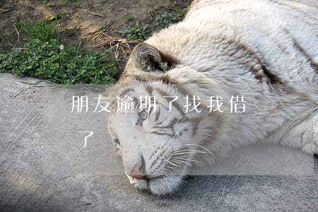 朋友逾期了找我借錢應該借嗎（朋友欠款逾期了）
