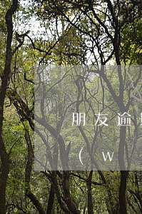 朋友逾期我被網(wǎng)貸騷擾(朋友網(wǎng)貸逾期留我電話老騷擾我)