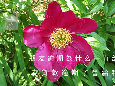 朋友逾期為什么一直給我打電話-為什么朋友貸款逾期了,會給我發(fā)短信