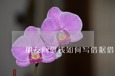 朋友间借钱如何写借据(借钱证据如何写)