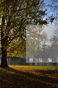 朋友骗刷我信用卡不还钱