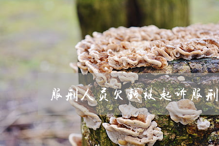 服刑人员欠钱被起诉(服刑人员欠钱怎么办)