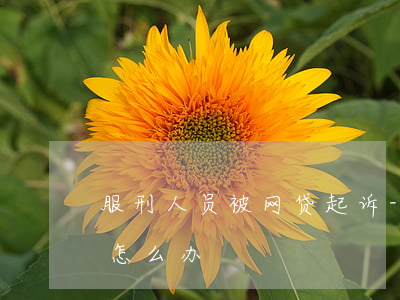 服刑人员被网贷起诉-服刑人员被网贷起诉怎么办
