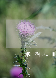 服刑人員欠微粒貸(微粒貸欠款)