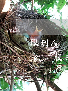服刑人員親屬可以代替協(xié)商還款么-服刑人員親屬可以代替協(xié)商還款么嗎