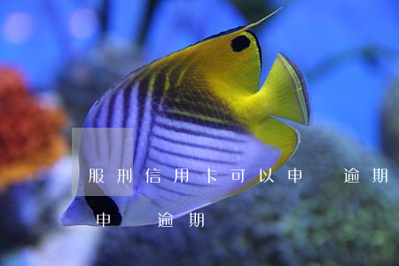 服刑信用卡可以申請逾期嗎(服刑信用卡可以申請逾期嗎)