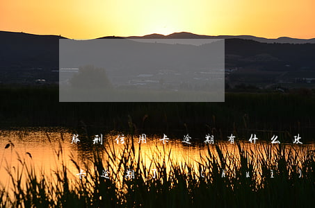 服刑信用卡逾期有什么政策支持(因服刑信用卡逾期了,會(huì)加重刑期嗎?)