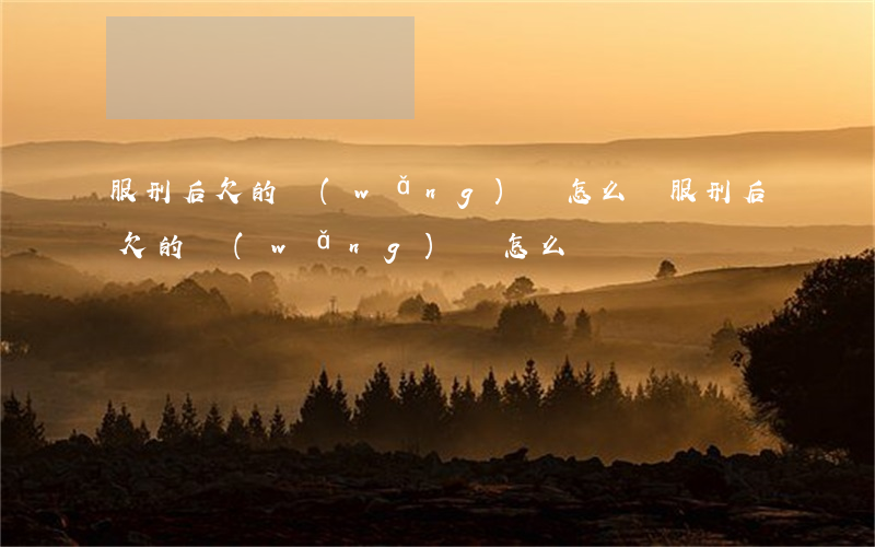 服刑后欠的網(wǎng)貸怎么還(服刑后欠的網(wǎng)貸怎么辦)