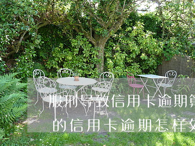 服刑导致信用卡逾期算失信人员吗(服刑人员的信用卡逾期怎样处理)
