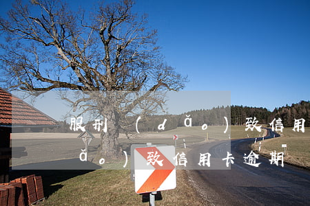 服刑導(dǎo)致信用卡逾期(服刑導(dǎo)致信用卡逾期會(huì)影響征信)