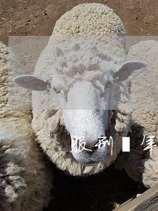 服刑幾年可辦保外就醫(yī)