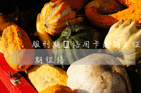 服刑期間信用卡逾期上征信(因坐牢信用卡逾期征信)